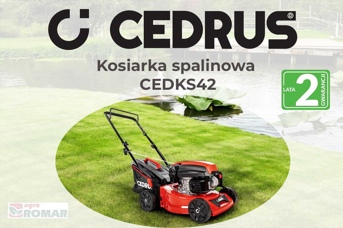 Kosiarka spalinowa Cedrus KS42